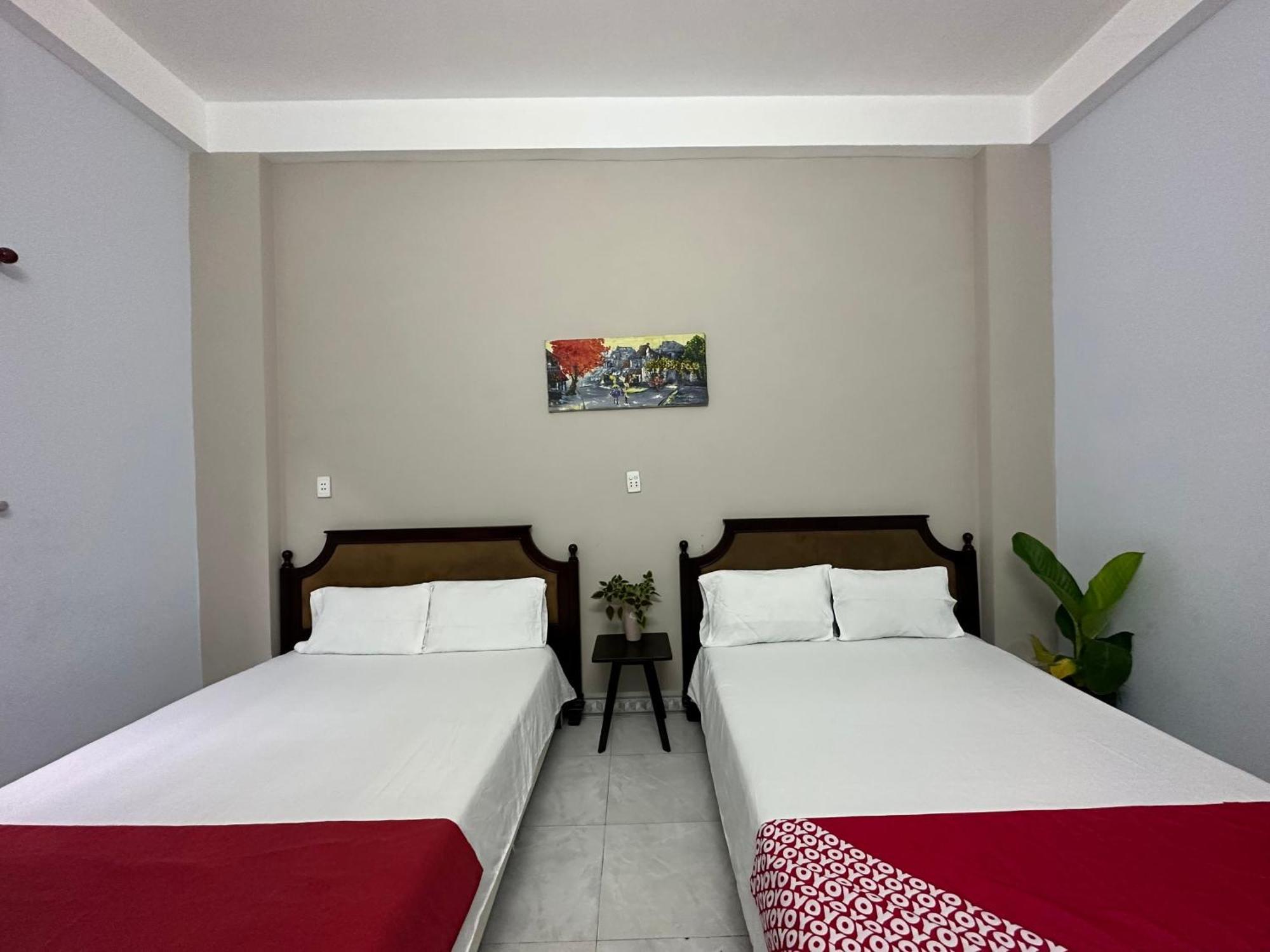 Oyo 1187 Suoi Da Motel Da Nang Zewnętrze zdjęcie
